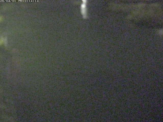 取得できませんでした