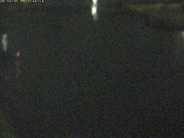 取得できませんでした