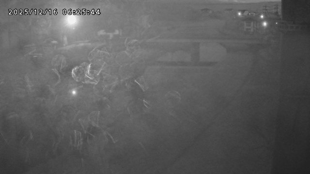 取得できませんでした