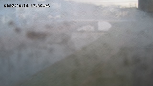 取得できませんでした