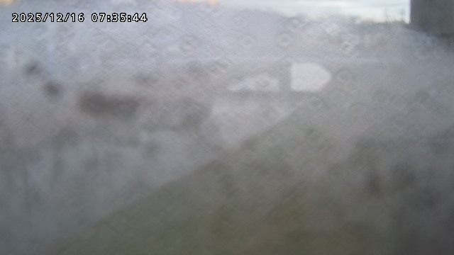 取得できませんでした