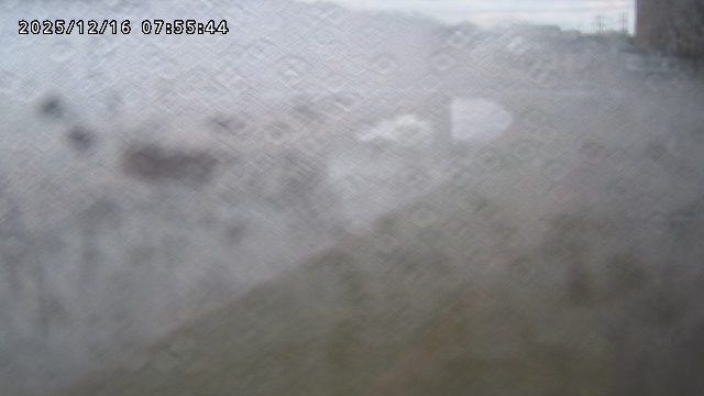 取得できませんでした