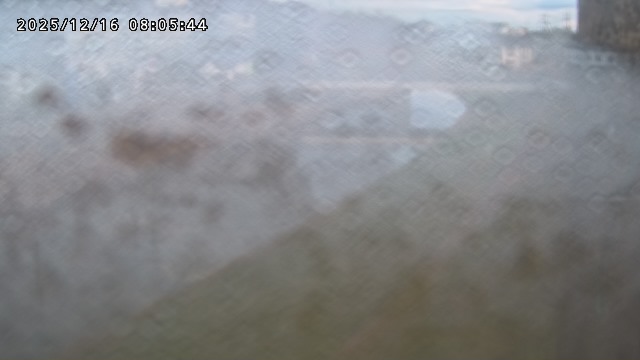 取得できませんでした