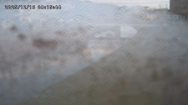 取得できませんでした