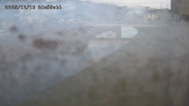 取得できませんでした