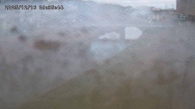 取得できませんでした