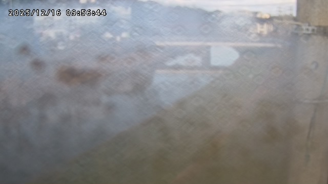 取得できませんでした