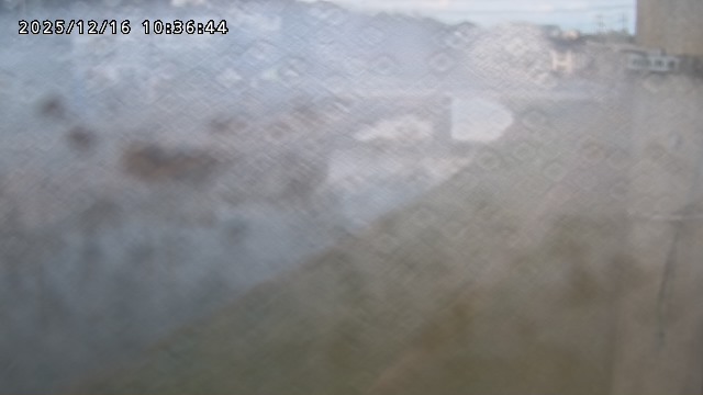 取得できませんでした