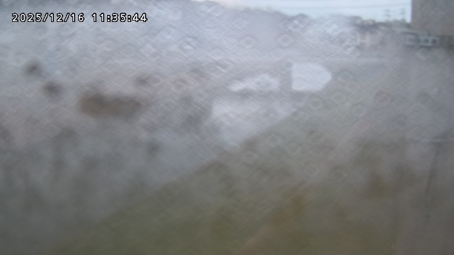 取得できませんでした