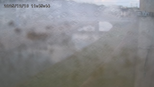 取得できませんでした