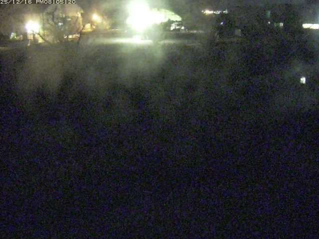 取得できませんでした