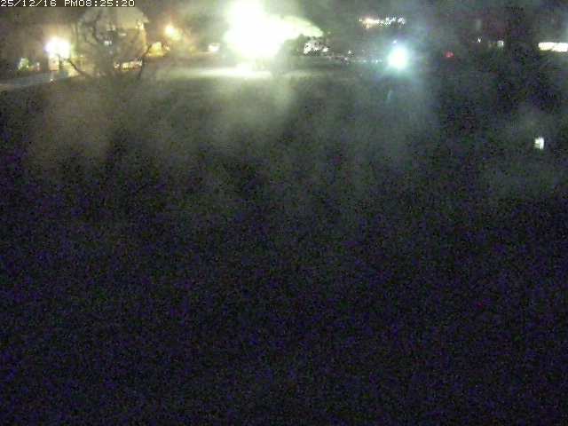 取得できませんでした