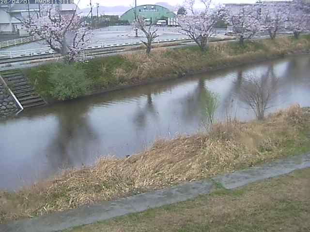 取得できませんでした