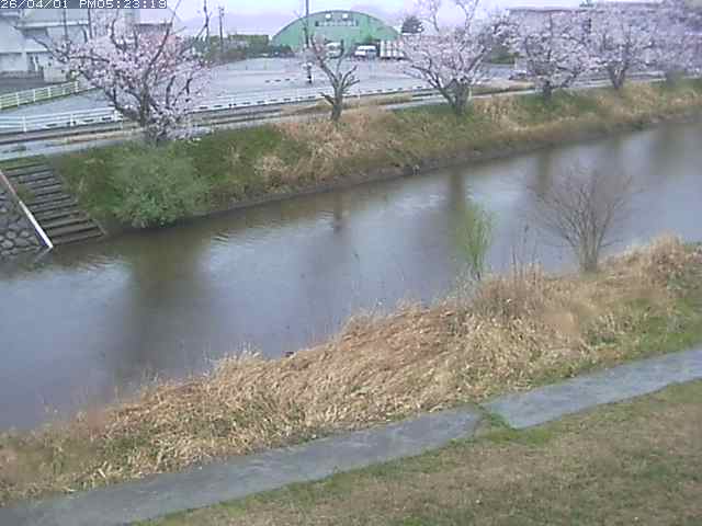 取得できませんでした