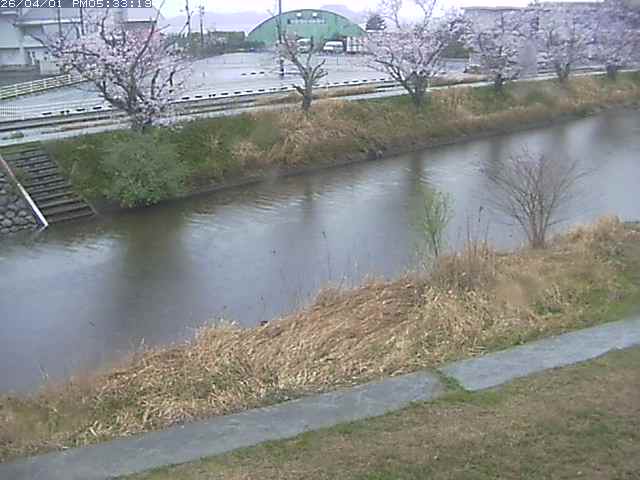 取得できませんでした