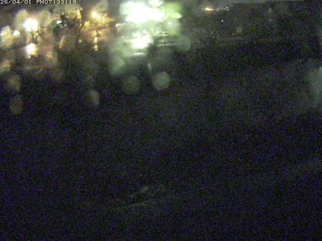 取得できませんでした