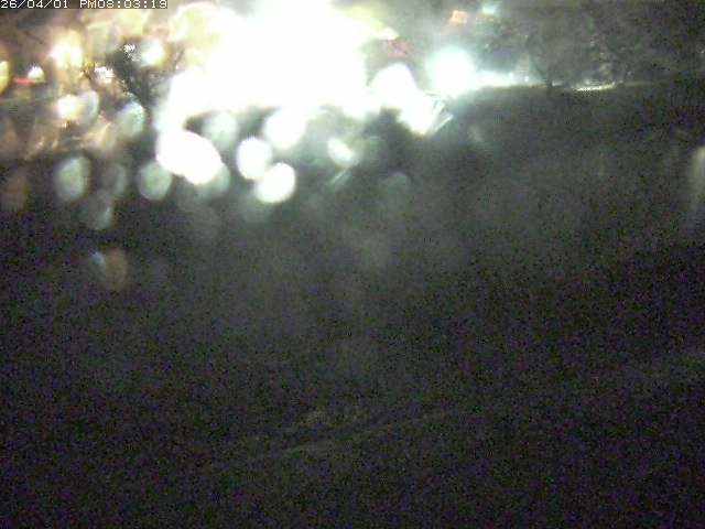 取得できませんでした