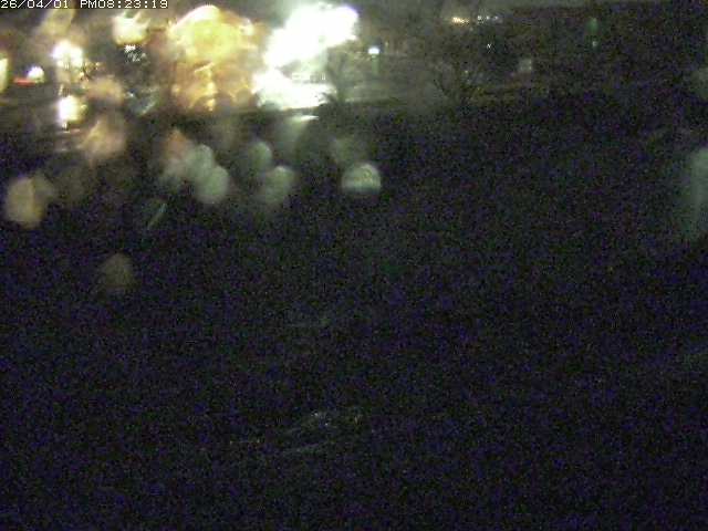 取得できませんでした