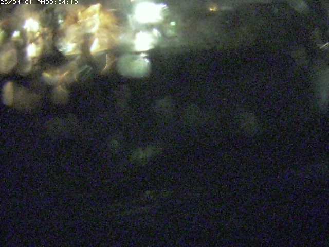 取得できませんでした