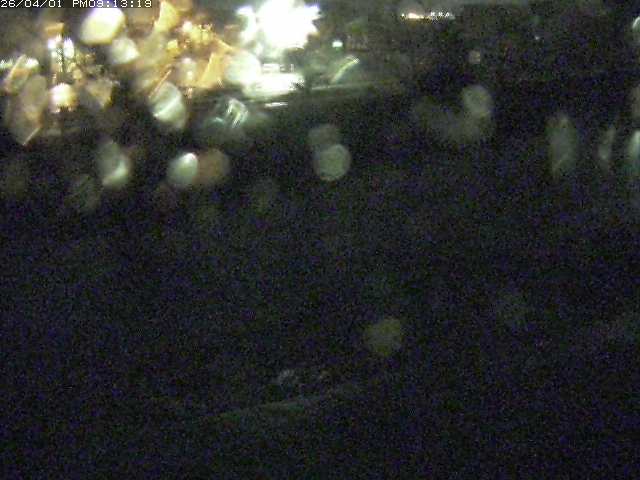 取得できませんでした