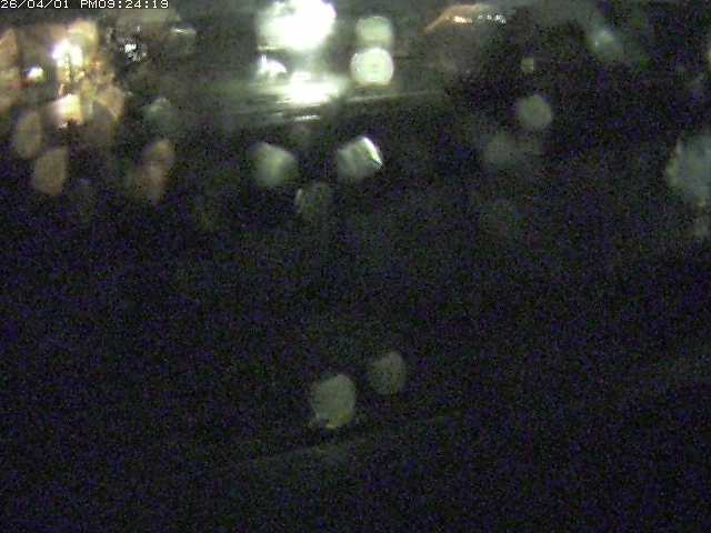 取得できませんでした