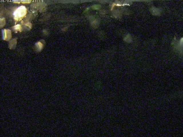 取得できませんでした