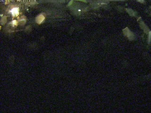 取得できませんでした