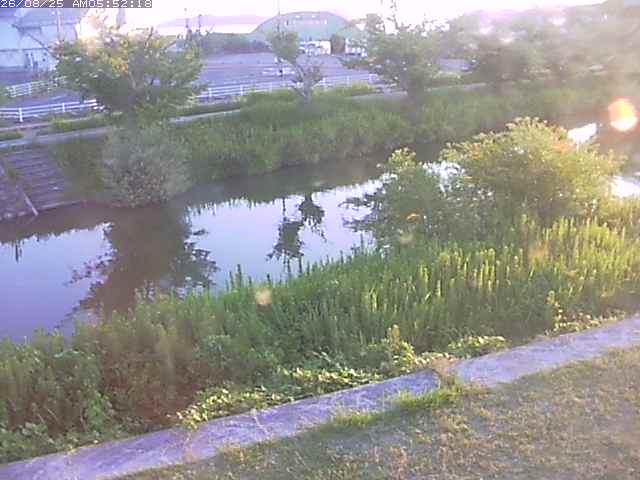 取得できませんでした