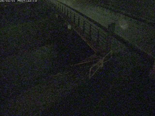 取得できませんでした