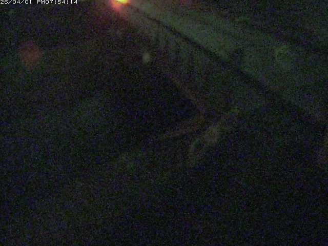 取得できませんでした