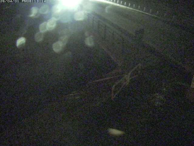 取得できませんでした