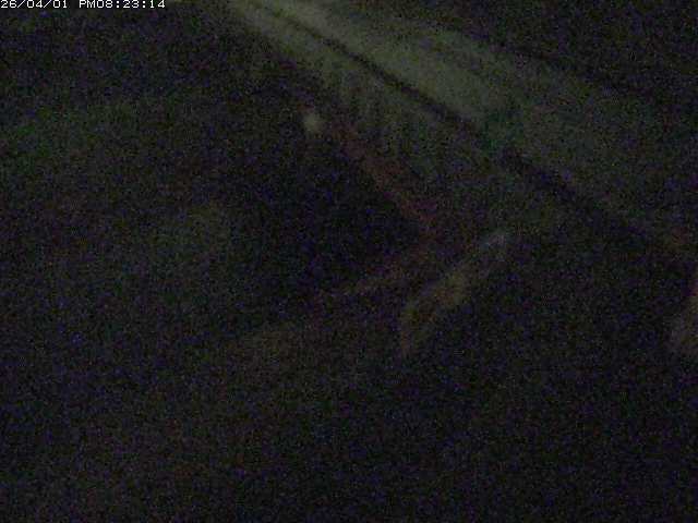 取得できませんでした