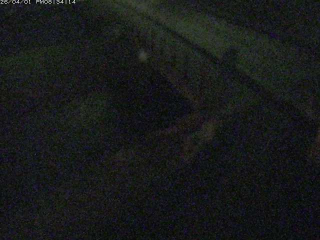 取得できませんでした