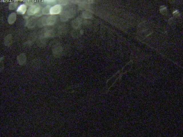 取得できませんでした