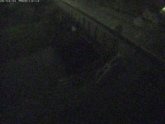 取得できませんでした