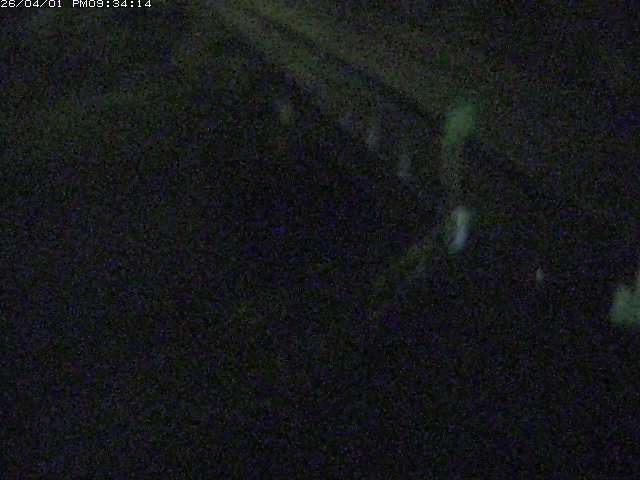 取得できませんでした