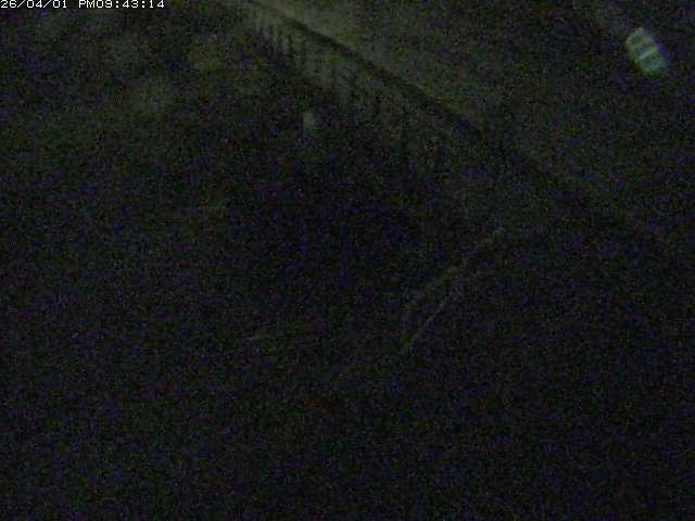 取得できませんでした