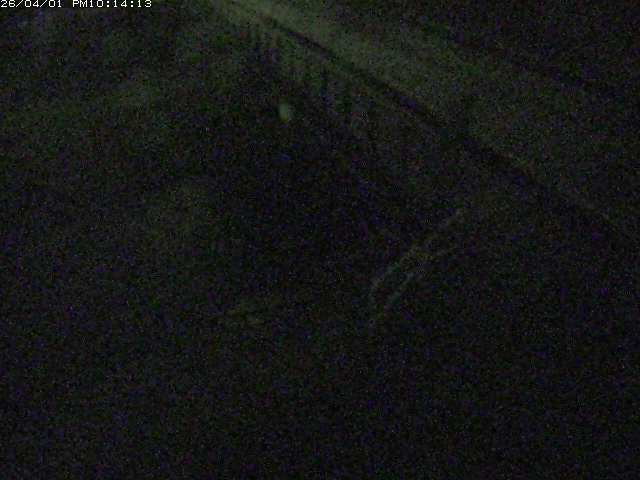 取得できませんでした