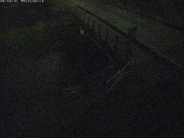 取得できませんでした