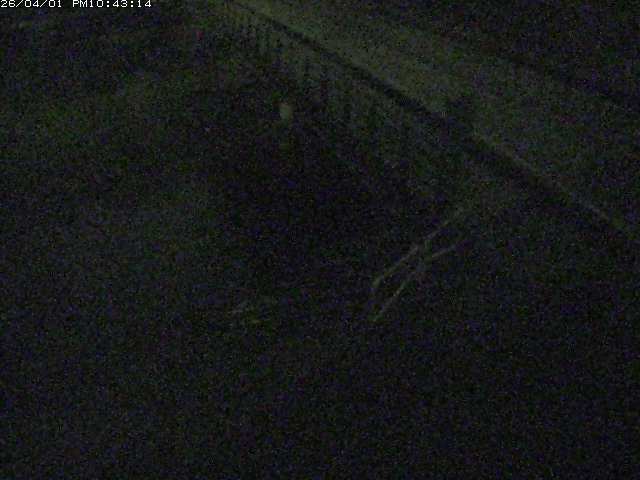 取得できませんでした