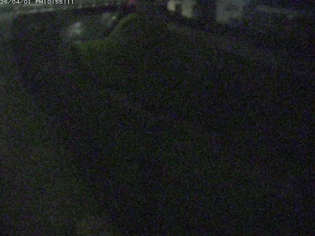 取得できませんでした