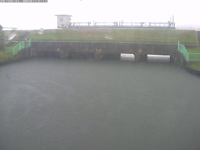 取得できませんでした