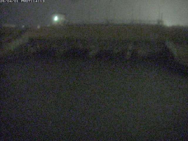 取得できませんでした