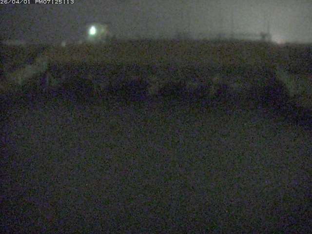 取得できませんでした