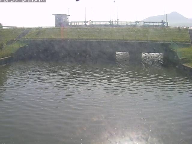 取得できませんでした