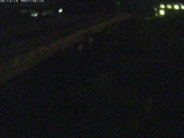 取得できませんでした