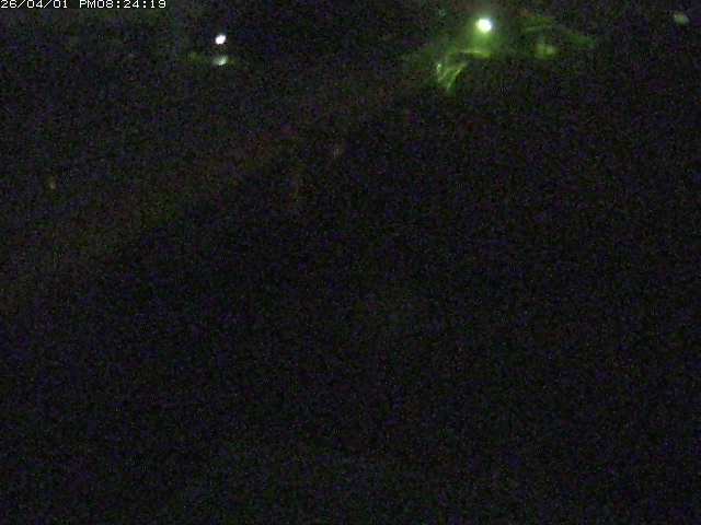 取得できませんでした