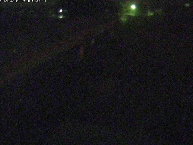 取得できませんでした