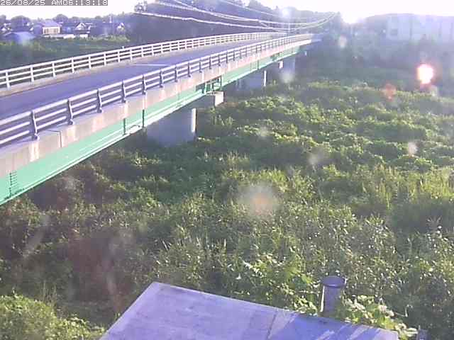 取得できませんでした