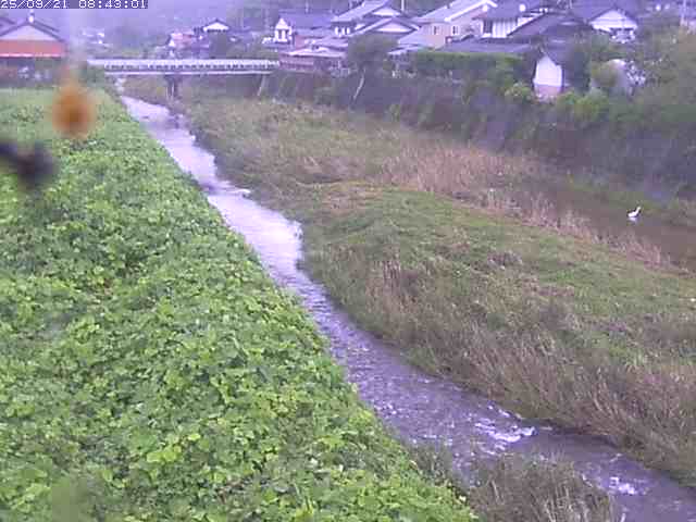 取得できませんでした
